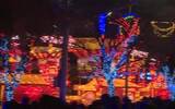 2021元宵节发朋友圈说说 牛年正月十五元宵节快乐微信祝福语