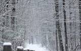 2020大雪节气意义是什么 关于大雪节气的诗句古诗