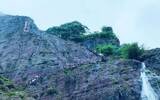 第八届全国重点网络媒体武夷行
